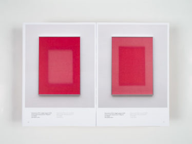 esposizione luca lupi cardelli 6 fontana